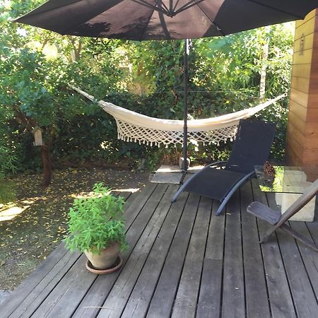 Chambre D'Hotes Du Clos Bamboo Mérignac Exteriör bild
